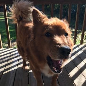 Meet your Posher, Nancy